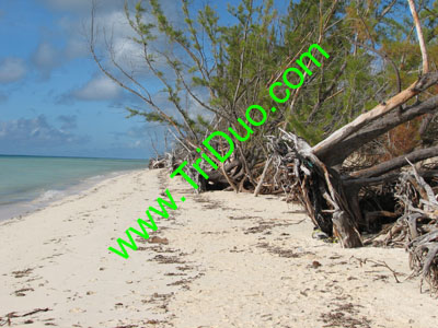 Scenes from Grand Bahama Island Photo